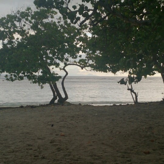 Photos At Plage De Bois Jolan Sainte Anne Guadeloupe