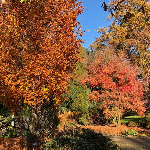 Photo taken at Trompenburg Tuinen &amp; Arboretum by Anja v. on 11/15/2018