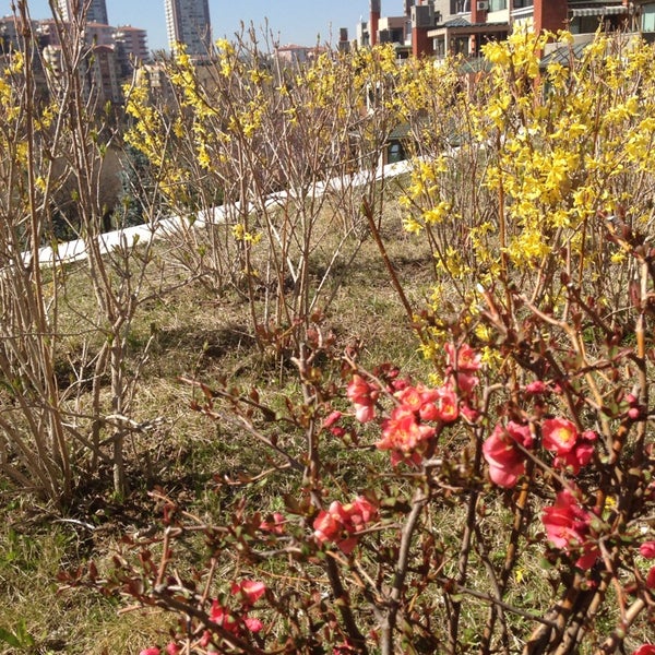 park vadi kosu parkuru cankaya 4 tips