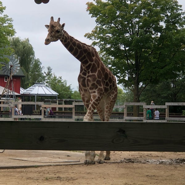 Das Foto wurde bei Henry Vilas Zoo von Kiley Katholeen J. am 9/15/2019 aufgenommen