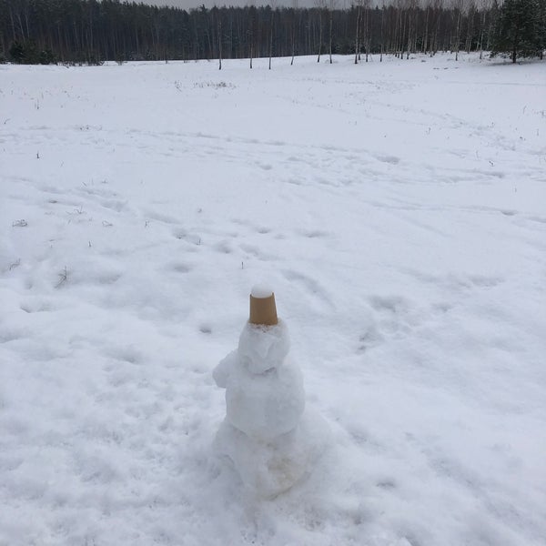 Мещерский парк Лыжня