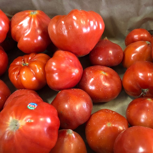 Магнитный пазл 27x18см."Помидор, solanum lycopersicum, пасленовые растения" на х
