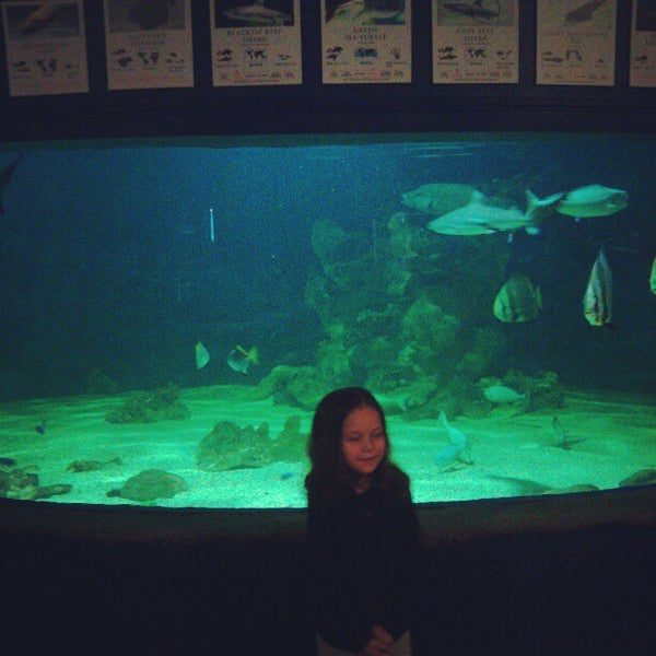 The Aquarium Sandy, UT