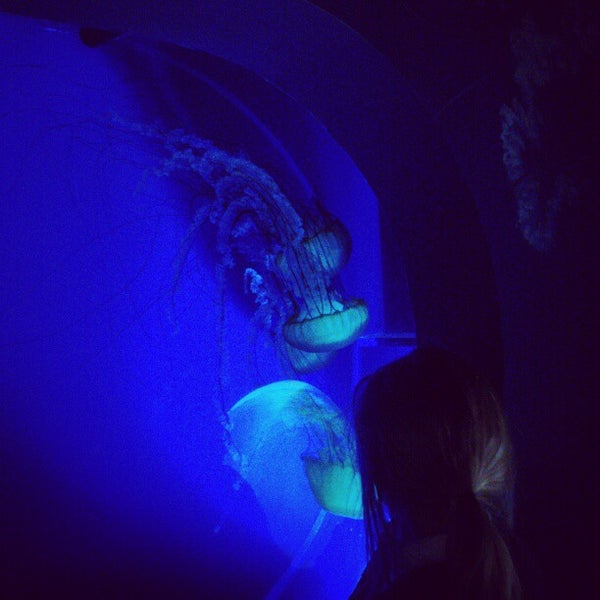 The Aquarium Sandy, UT