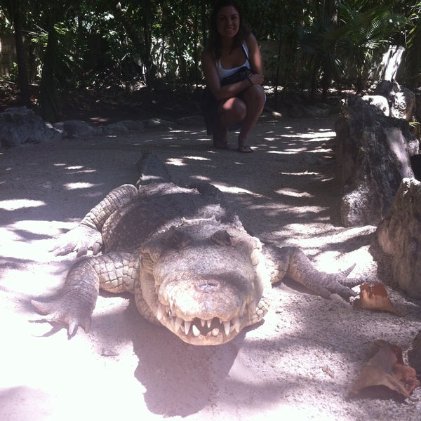 Photo taken at Crococun Zoo by Alicia O. on 5/21/2015