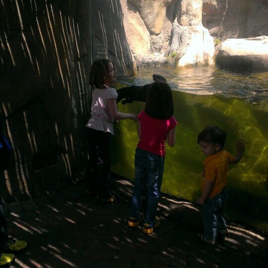 5/18/2014 tarihinde ᴡ K.ziyaretçi tarafından The Children&#39;s Zoo at Celebration Square'de çekilen fotoğraf
