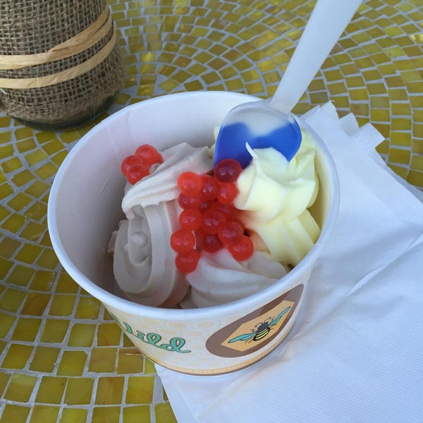 Wild Honey Frozen Yogurt North Central Pensacola Pensacola, FL