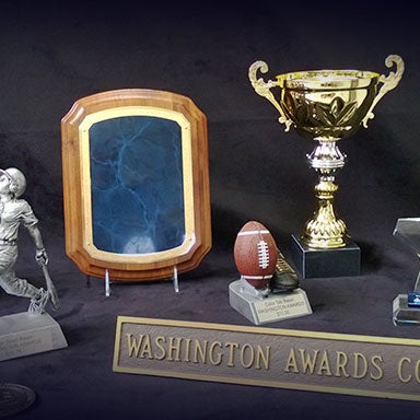 Washington Awards Banner