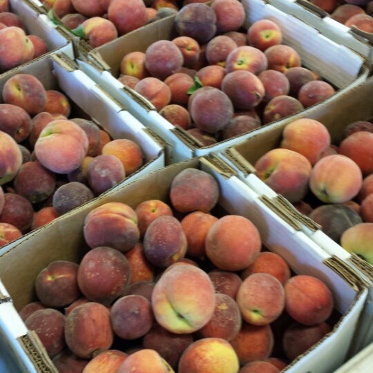 Chiles Peach Orchard Farm