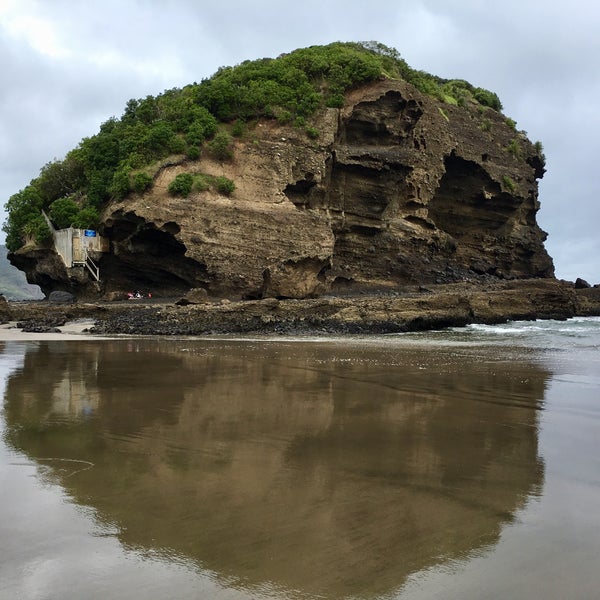 Bethells Beach the Wilds