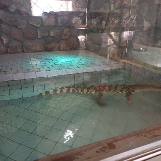 Ulaanbaatar Zoo and Aquarium Улаанбаатар, Ulaanbaatar