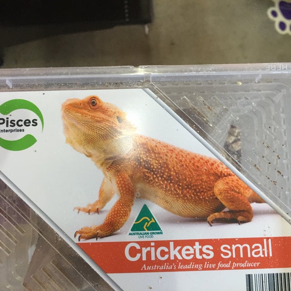 Photos At Pet Barn Pet Store In Darwin
