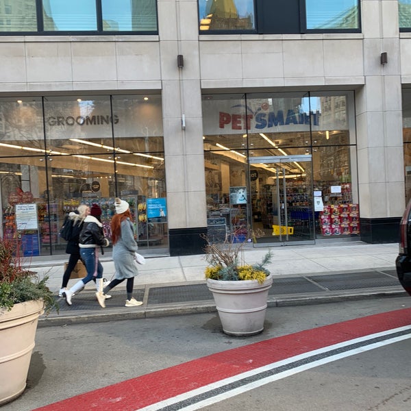 tear stain medicine for dogs