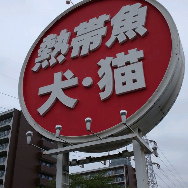 Fotos En かねだい 草加店 Tienda De Mascotas