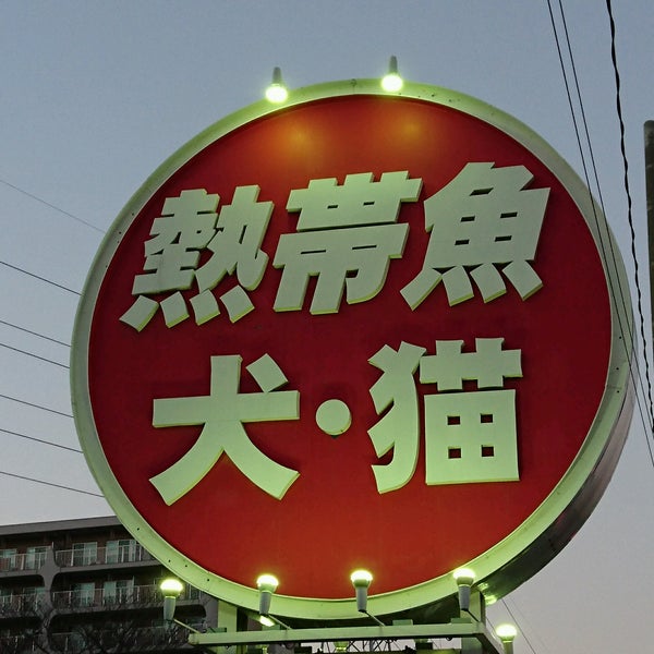 Fotos En かねだい 草加店 Tienda De Mascotas