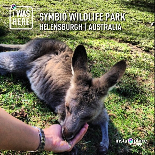 Symbio Wildlife Park Zoo