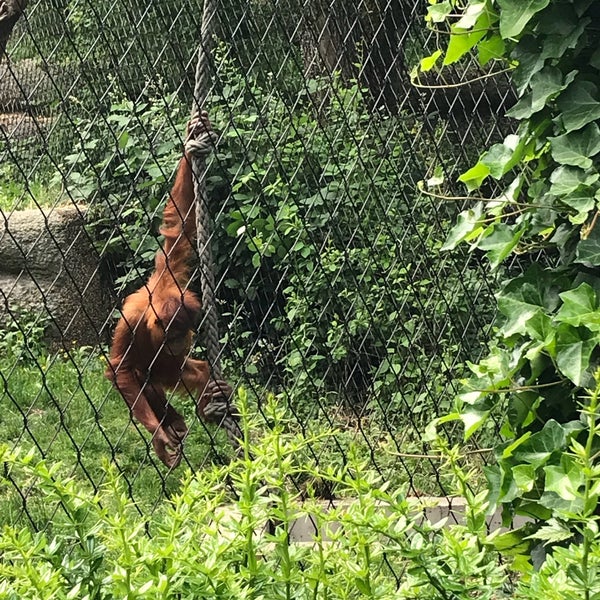 Foto diambil di Zoo Basel oleh Zeynep I. pada 5/21/2018