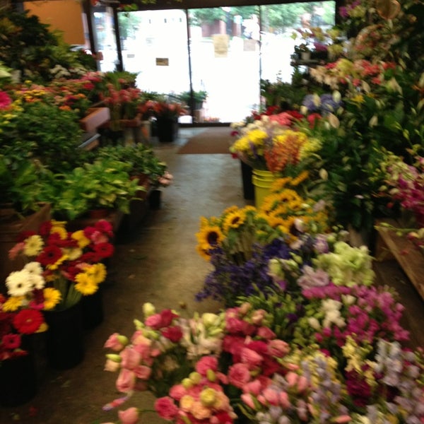 Brattle Square Florist Flower Shop in Cambridge