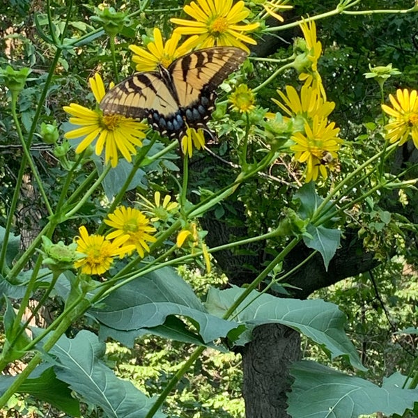 Photo taken at Bartram&#39;s Garden by Lucy G. on 8/16/2019