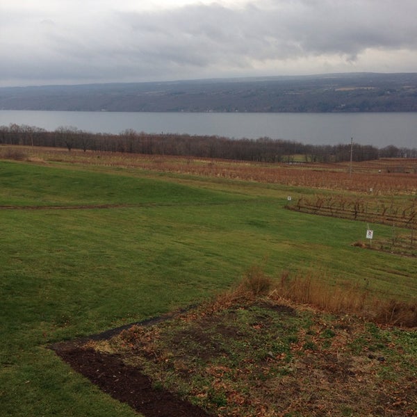 Photos at Tickle Hill Winery Winery