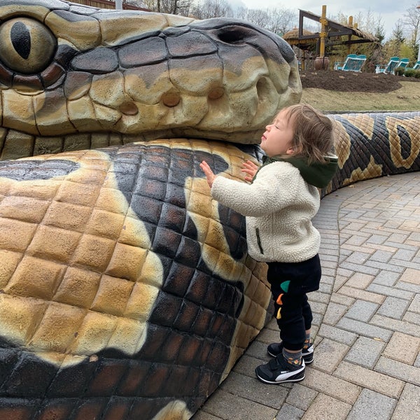 Reptile House Turtle Back Zoo West Orange, NJ