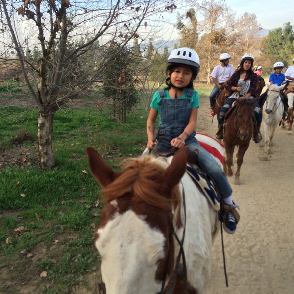 1/19/2015にShawn G.がLos Angeles Equestrian Centerで撮った写真