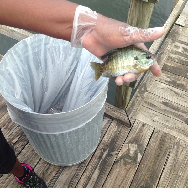 Luminant Power Station, Martin Lake Tatum, TX