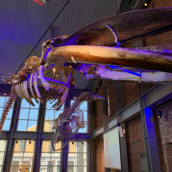 Foto scattata a New Bedford Whaling Museum da xina il 2/6/2019