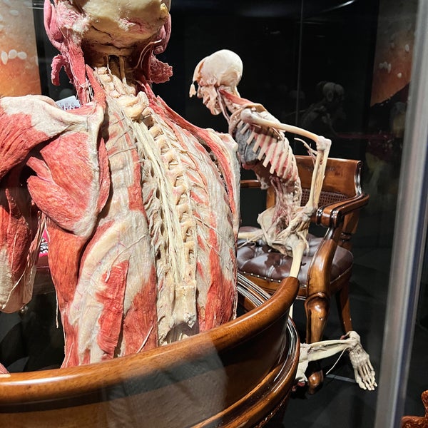 Photo taken at Body Worlds by 𓆞 on 9/15/2022