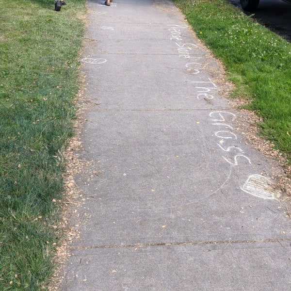 Trout Lake Farmers Market KensingtonCedar Cottage 9 tips from 549