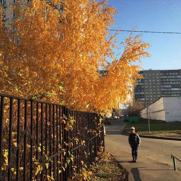 Сайт восточное дегунино Сайт восточное дегунино