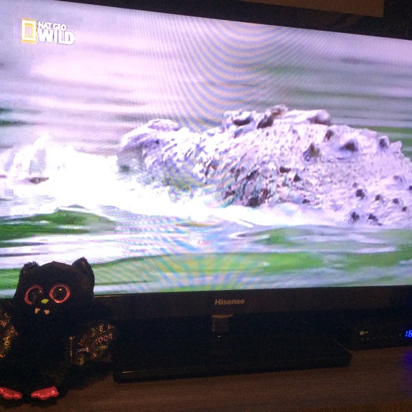 Gordon Inn - Central Tel Aviv - 14 tips from 334 visitors