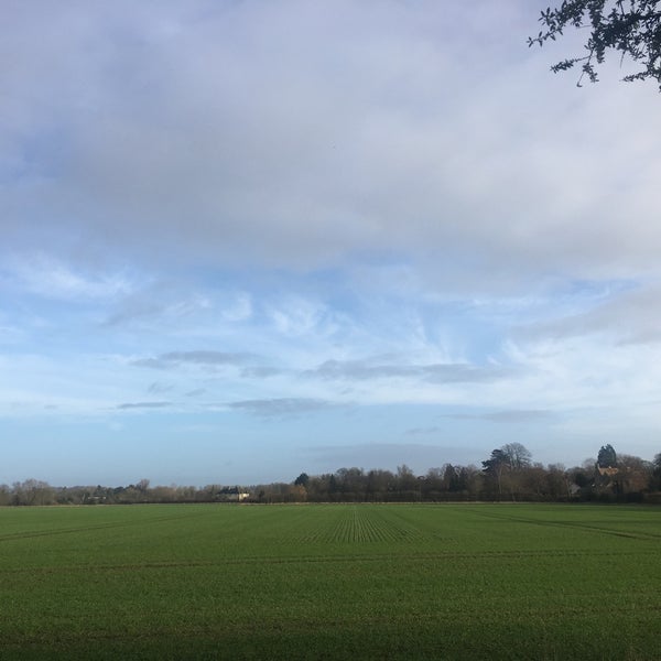 Little Shelford Cambridge, Cambridgeshire