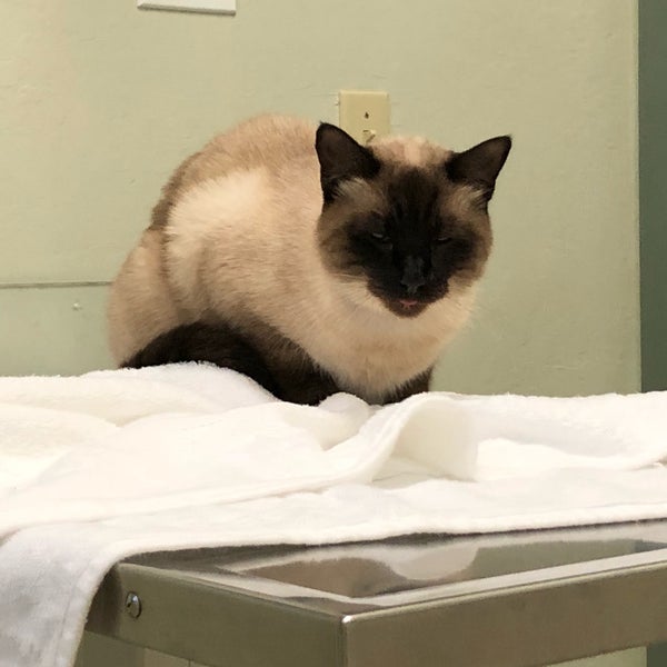 Memorial Beach Veterinary Hospital Veterinarian in Healdsburg