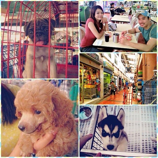 Cartimar pet supplies hotsell