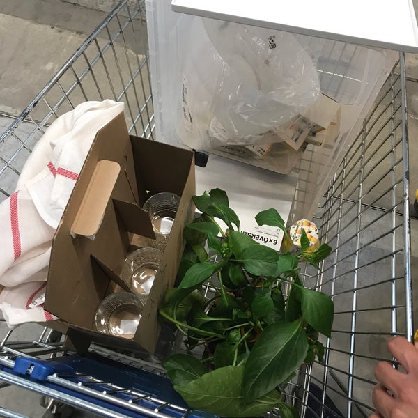 5/30/2018에 Izo님이 IKEA에서 찍은 사진