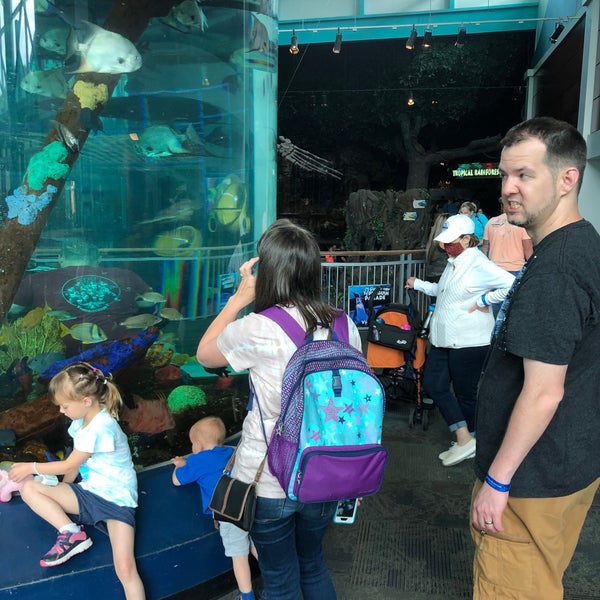 รูปภาพถ่ายที่ Ripley&#39;s Aquarium of the Smokies โดย Frazzy 626 เมื่อ 5/3/2021