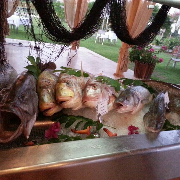 Курск ресторан морской конек