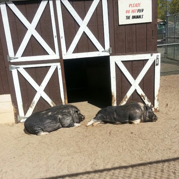 Merrill Park Park in Colonia