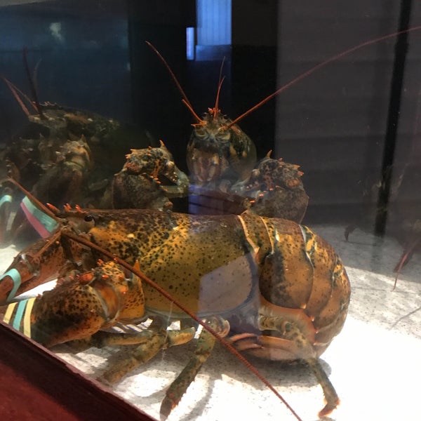 12/20/2016에 Scheila L.님이 Red Lobster에서 찍은 사진