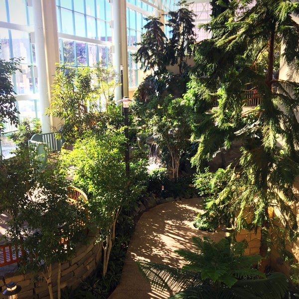 Woodbury Public Library 4 tips from 423 visitors