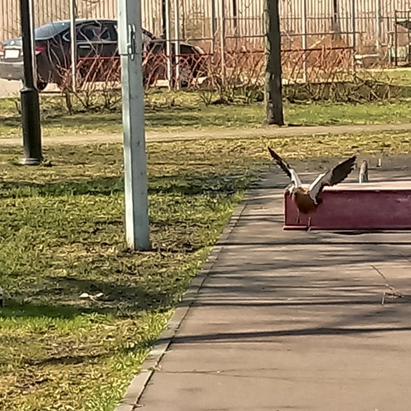 Парк автомобилист