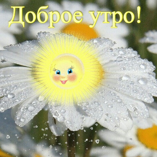 Веселые, открытки солнечного настроения в дождливую погоду