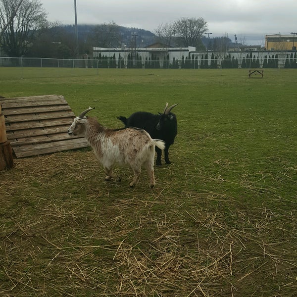 Foto tirada no(a) The Belmont Goats por Carrie . em 2/26/2017