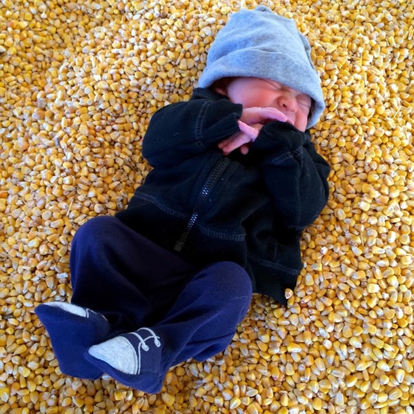 Снимок сделан в Sever&#39;s Corn Maze &amp; Fall Festival пользователем Jason M. 10/12/2014