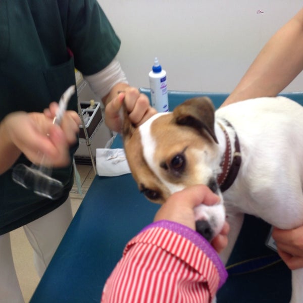 Photos At あいの里動物病院 Veterinarian In 札幌市