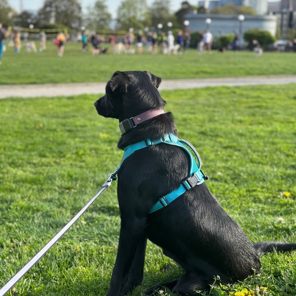 Cal Anderson Park Capitol Hill Seattle, WA