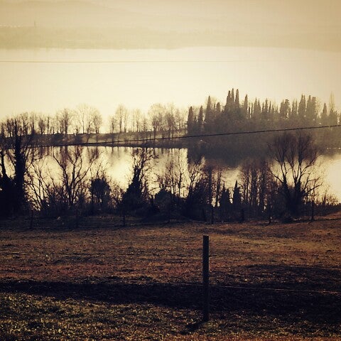 Photo taken at Azienda Agricola Sant&#39;Anna 1939 by Christian C. on 1/6/2013