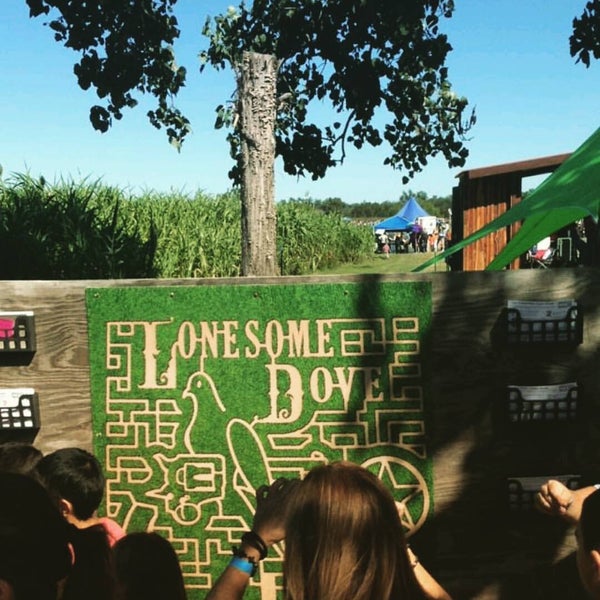 Barton Hill Farm Farm in Bastrop