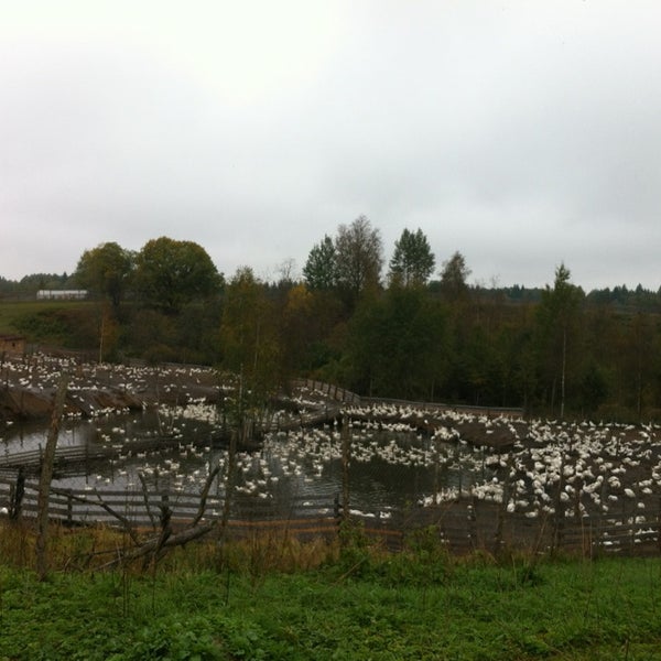 3), 43 дет. Сыр "голландский" ферма босконе 45%. Сливочное лето ферма новое видео. Ферма 45. Ферма 45.